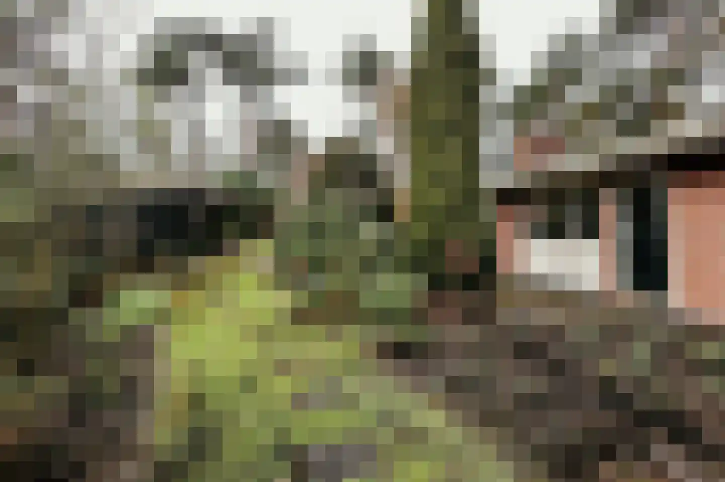 Elfde Wijk 40 a R57 Rheezerveen thumbnail 4