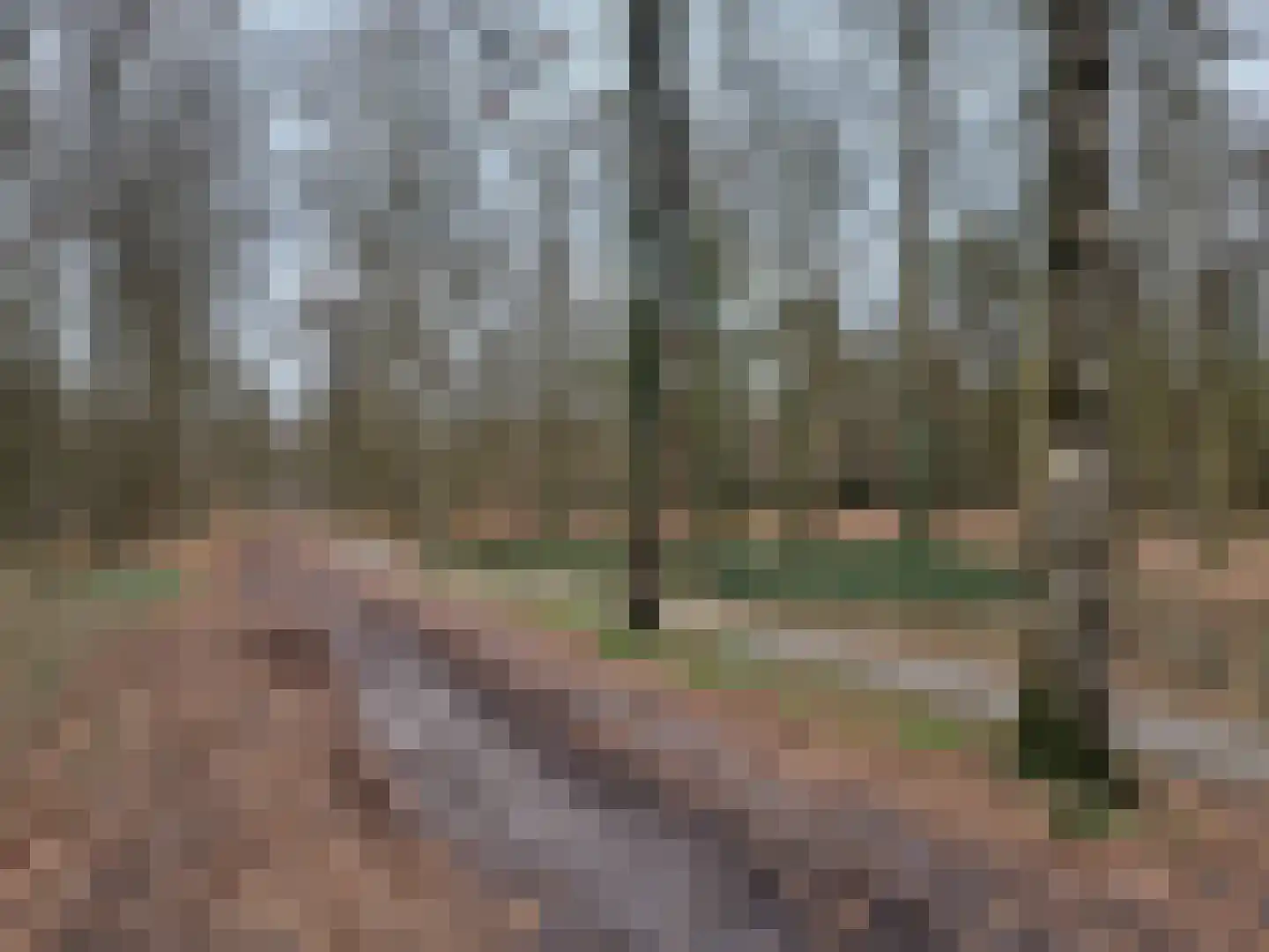 Elfde Wijk 40 a R57 Rheezerveen thumbnail 56
