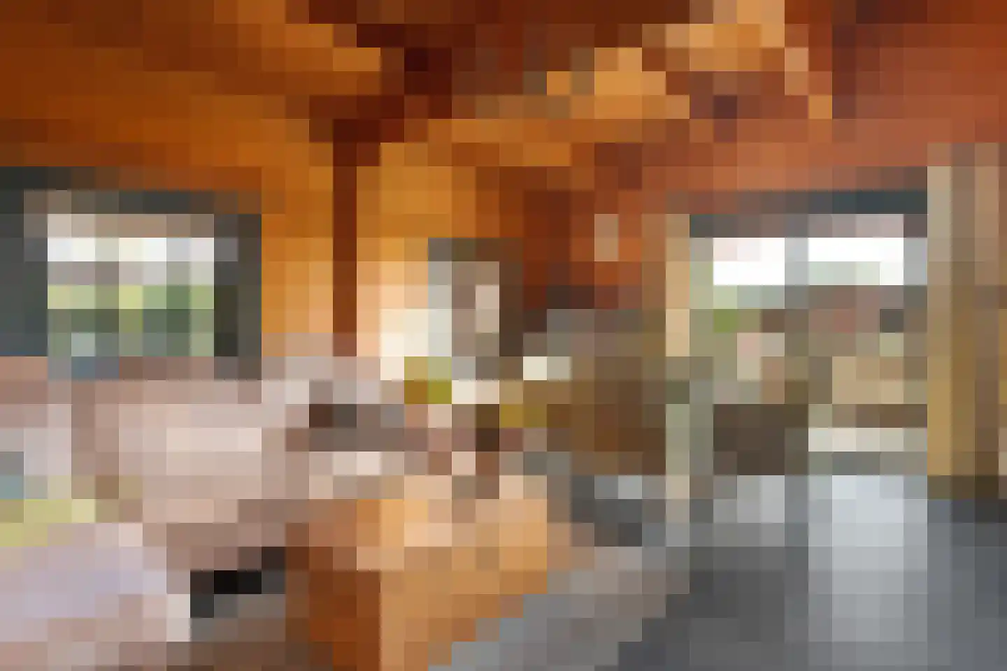 Elfde Wijk 42 c R85 Rheezerveen thumbnail 14
