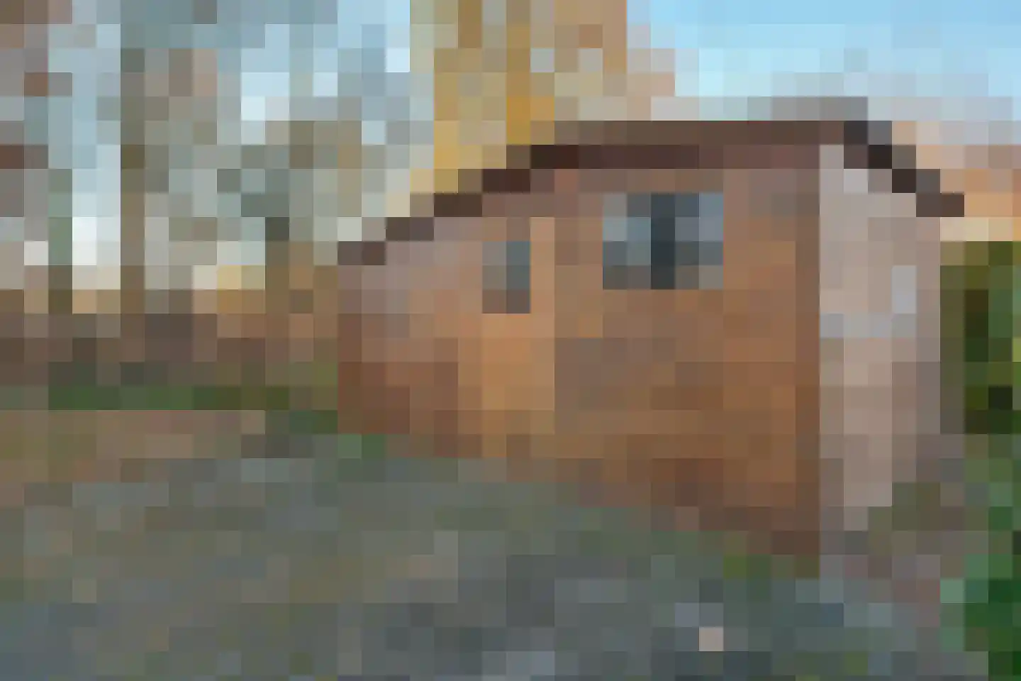 Elfde Wijk 42 c R85 Rheezerveen thumbnail 43