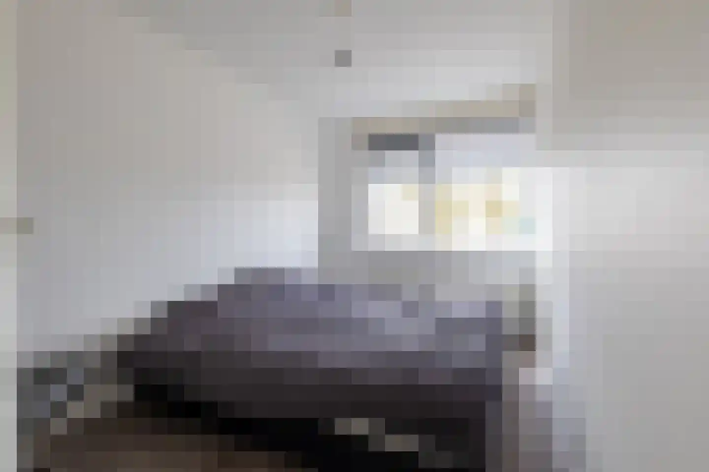Elfenbank 1 Ruurlo thumbnail 18