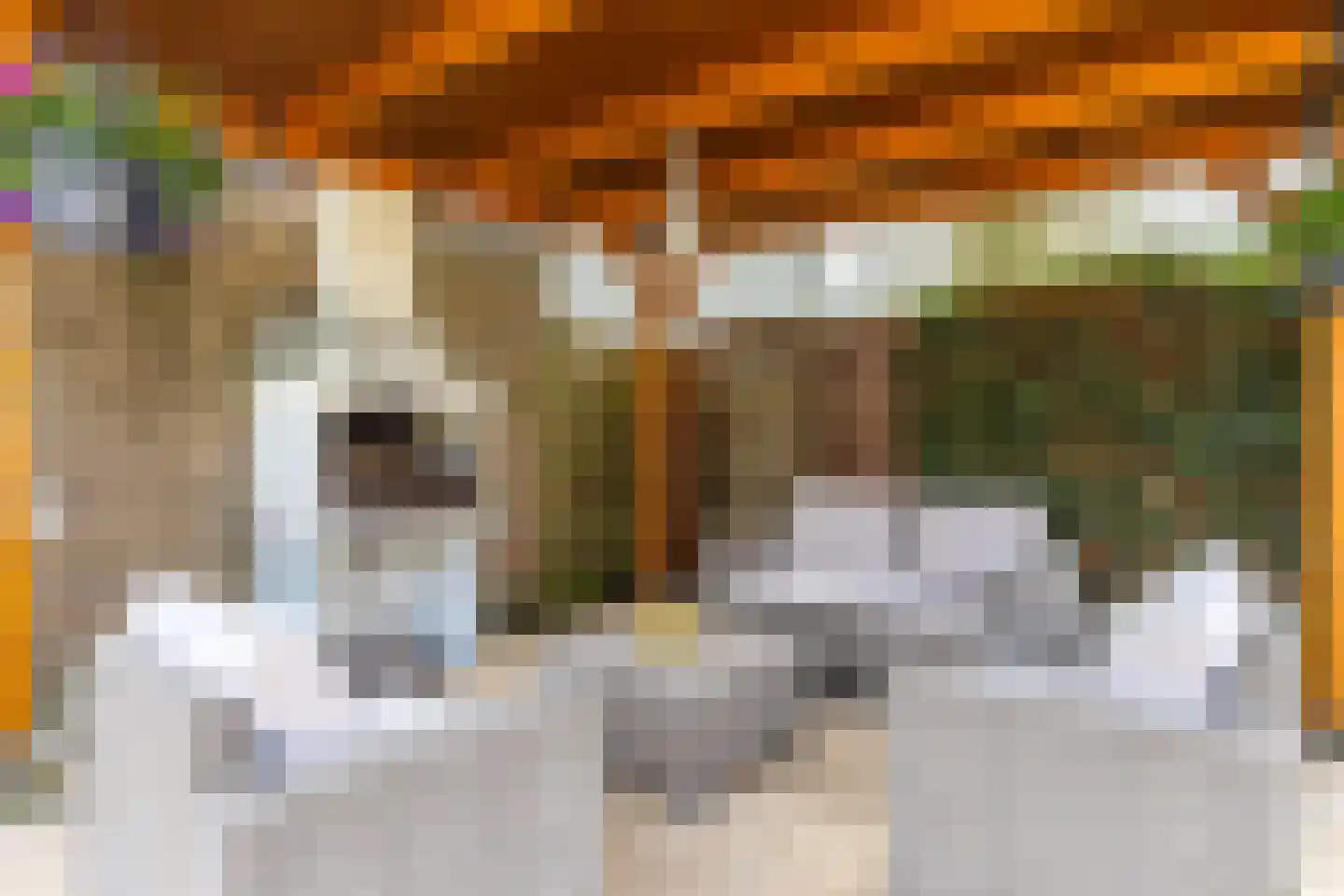 Elfenbank 1 Ruurlo thumbnail 24