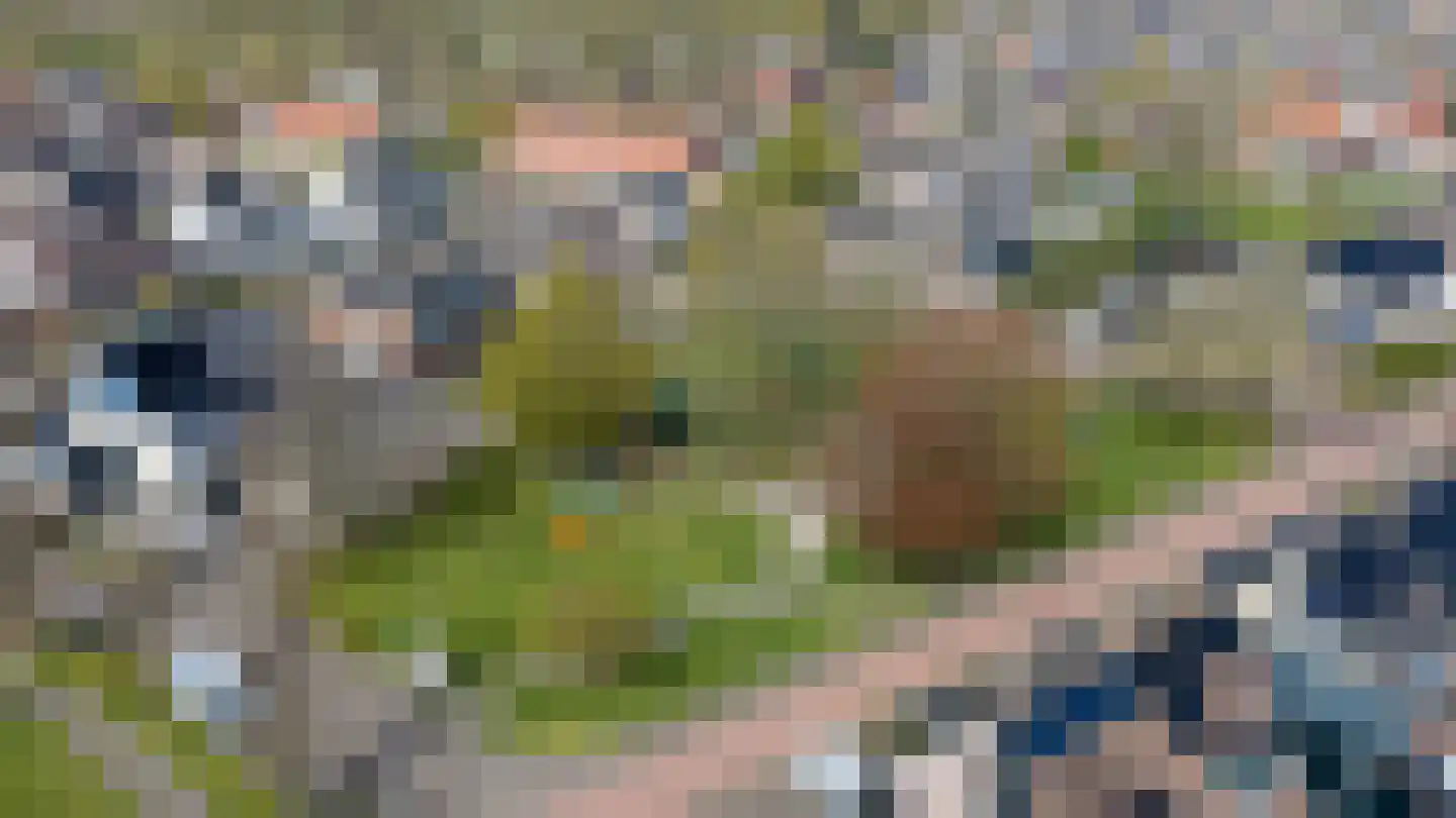 Elfenbank 1 Ruurlo thumbnail 26