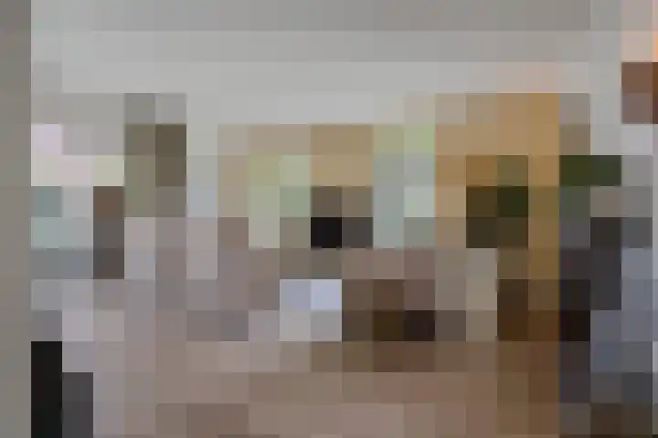 Elfenbank 19 Assen thumbnail 10