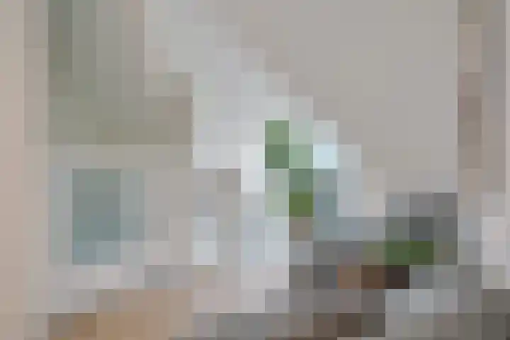 Elfenbank 19 Assen thumbnail 25