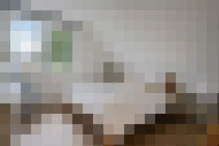 Elfenbank 19 Assen thumbnail 38