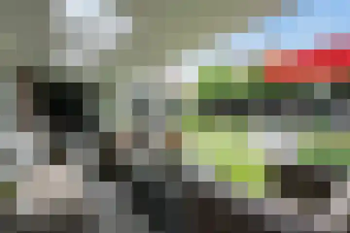 Elfenbank 19 Assen thumbnail 42