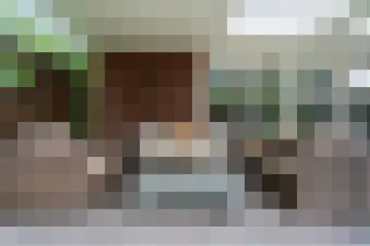 Elfenbank 19 Assen thumbnail 43