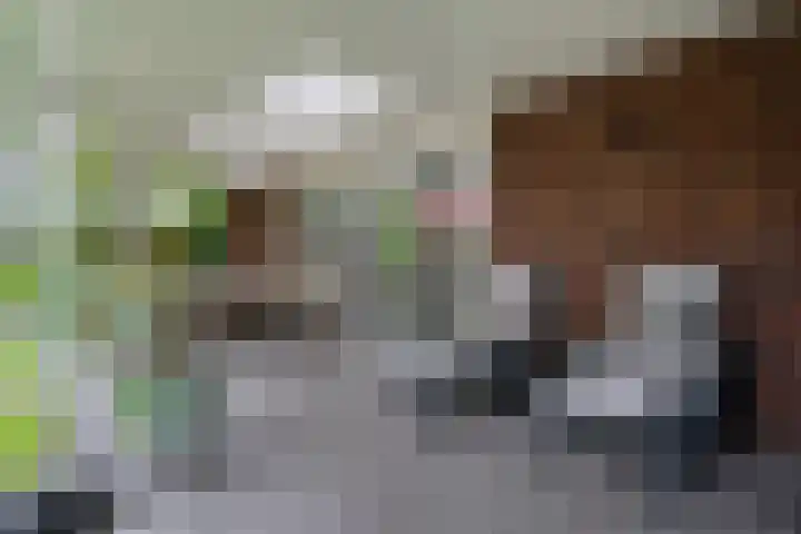 Elfenbank 19 Assen thumbnail 44