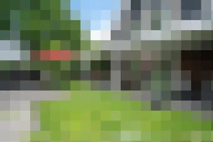 Elfenbank 19 Assen thumbnail 45
