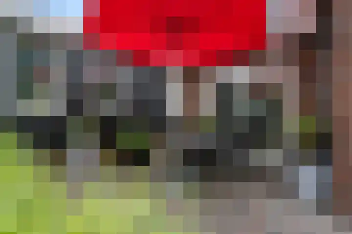 Elfenbank 19 Assen thumbnail 47