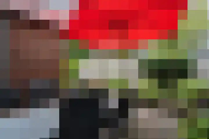 Elfenbank 19 Assen thumbnail 48