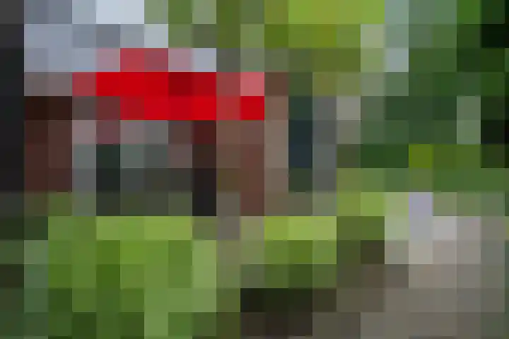 Elfenbank 19 Assen thumbnail 49