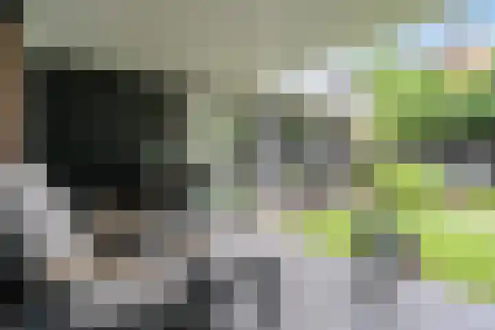 Elfenbank 19 Assen thumbnail 50