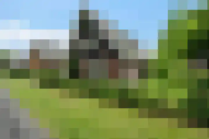 Elfenbank 19 Assen thumbnail 54