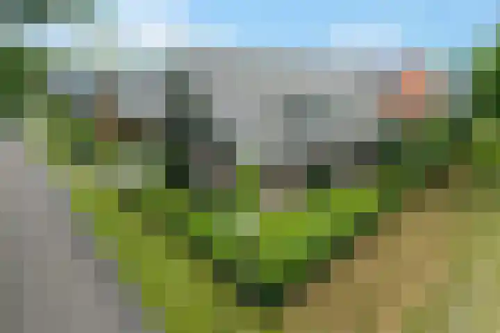 Elfenbank 19 Assen thumbnail 55