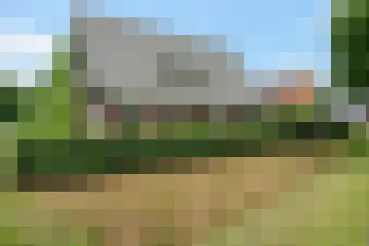 Elfenbank 19 Assen thumbnail 56