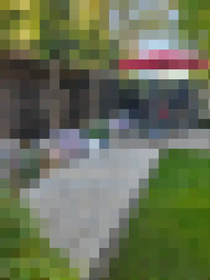 Elfenbank 19 Assen thumbnail 57