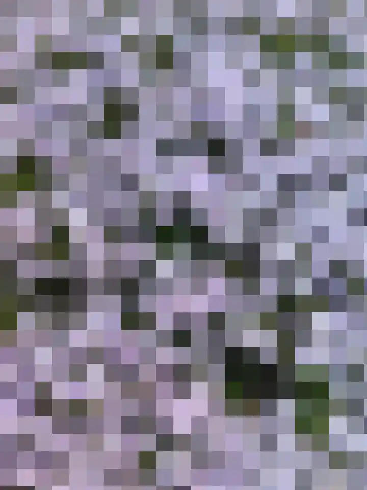 Elfenbank 19 Assen thumbnail 59