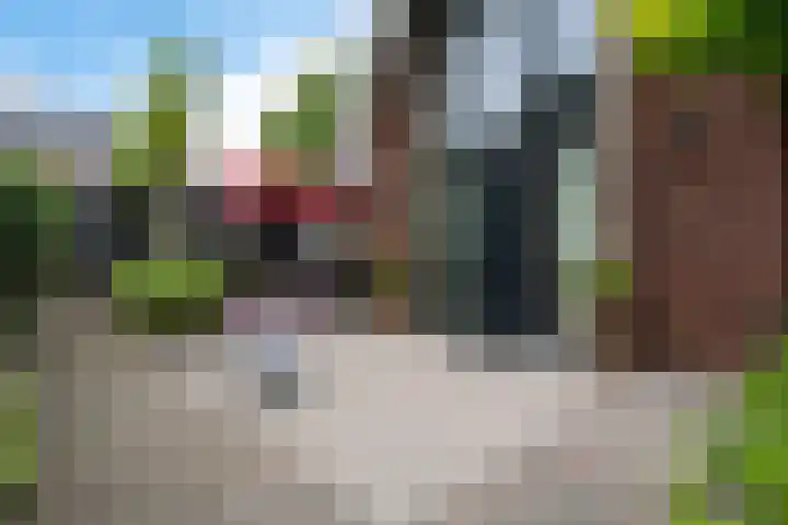 Elfenbank 19 Assen thumbnail 6