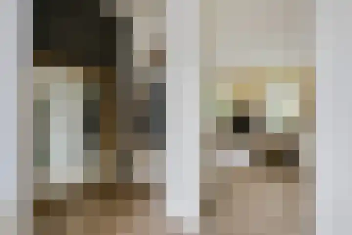 Elfenbank 19 Assen thumbnail 9