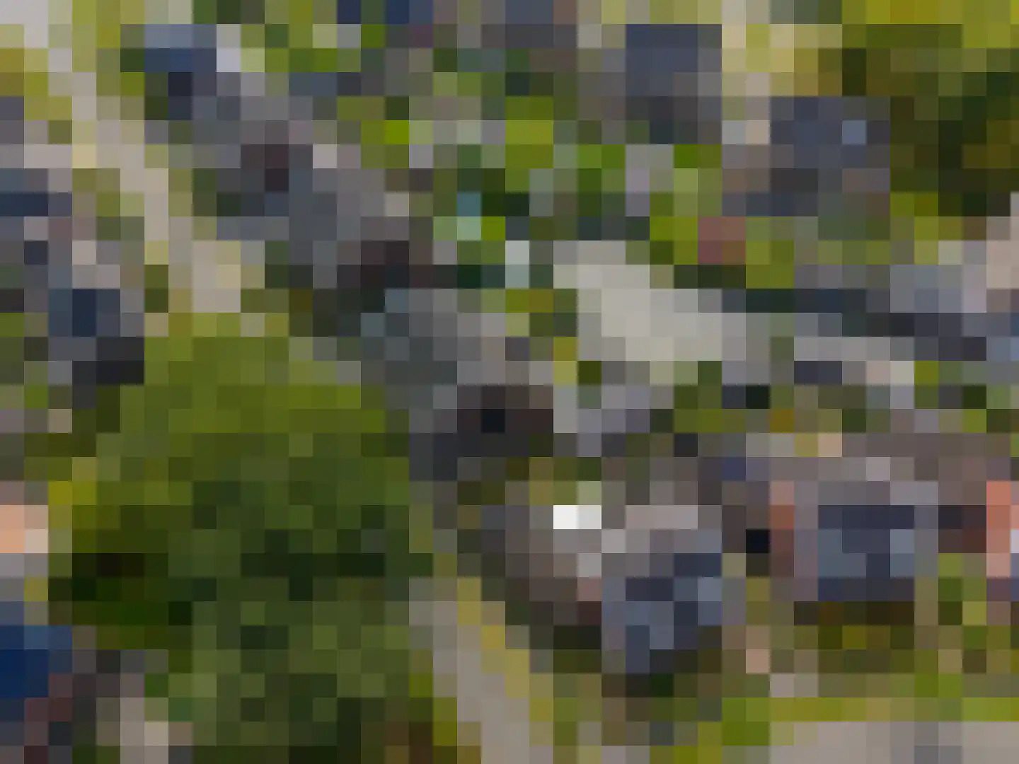 Elfenbank 2 Assen thumbnail 12