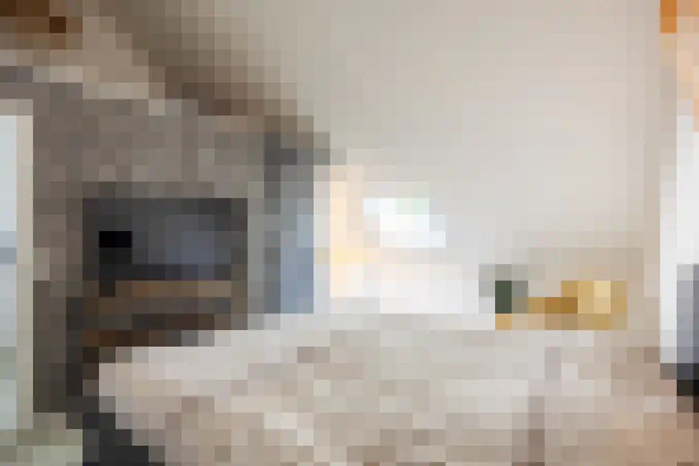 Elfenbank 2 Assen thumbnail 47