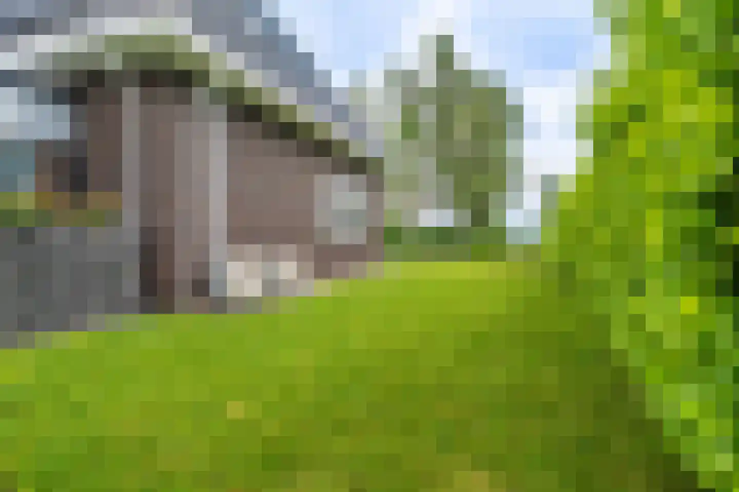 Elfenbank 39 Blauwestad thumbnail 10