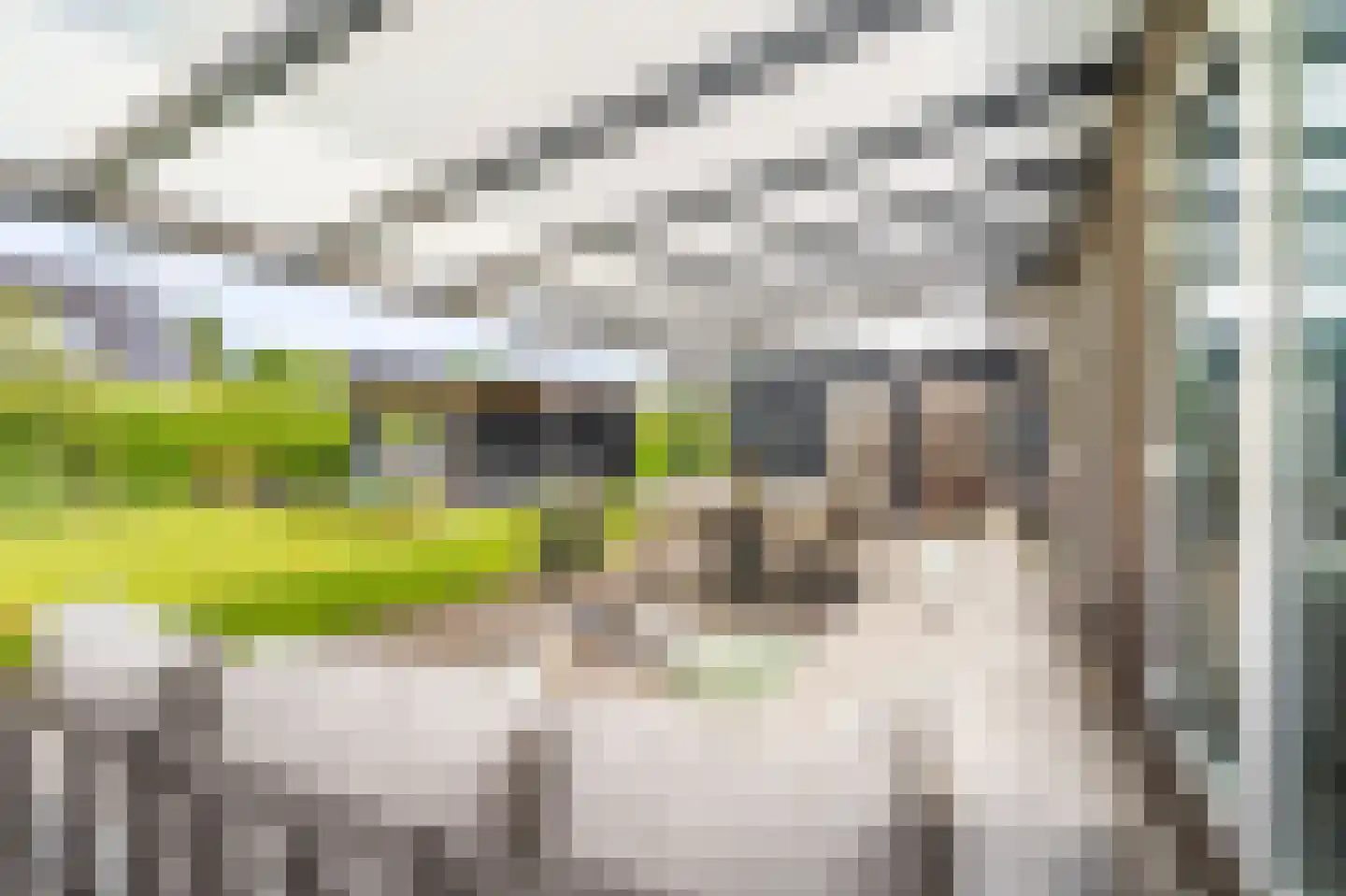 Elfenbank 39 Blauwestad thumbnail 62