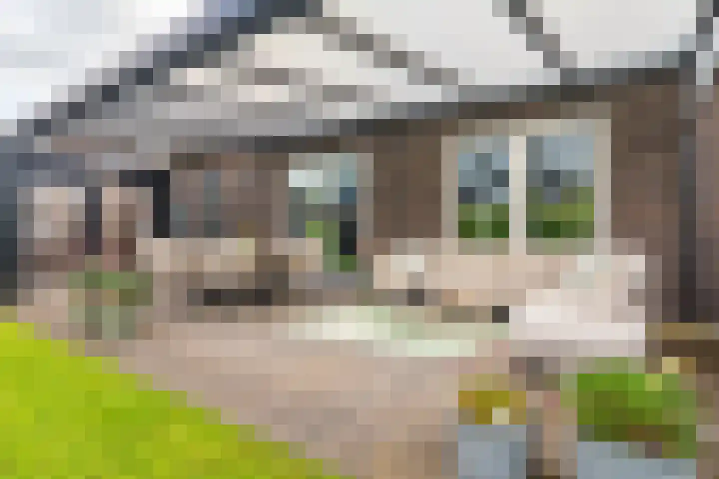 Elfenbank 39 Blauwestad thumbnail 65