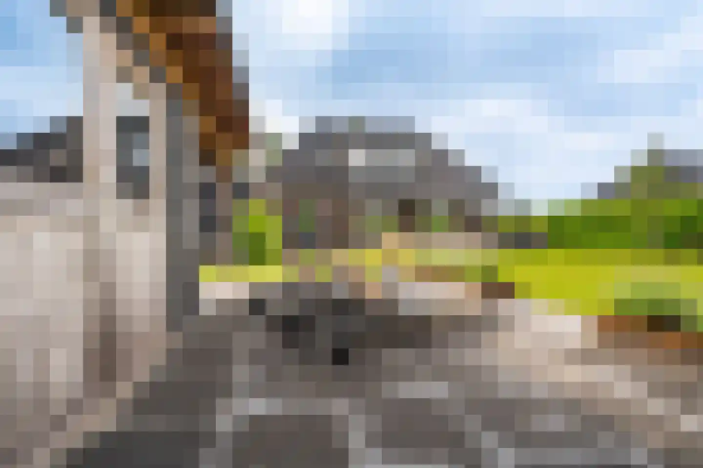 Elfenbank 39 Blauwestad thumbnail 66