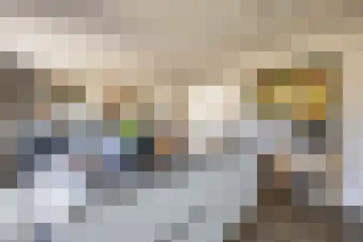 Elfenbank 7 Assen thumbnail 22