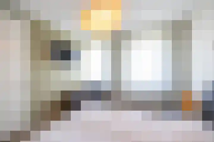 Elfenbank 7 Assen thumbnail 37
