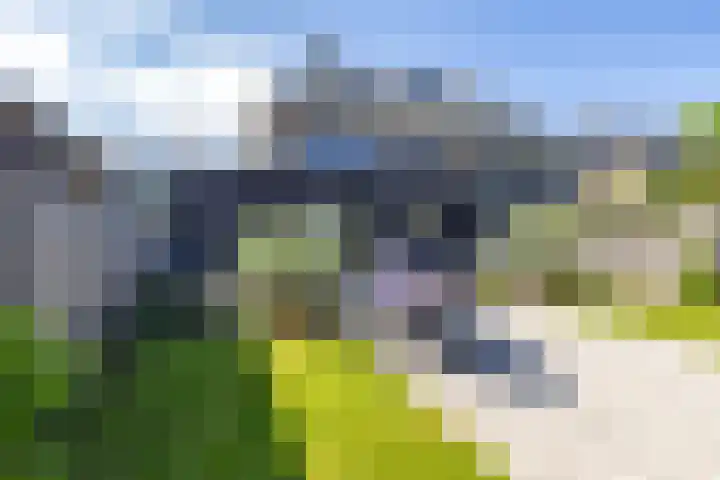 Elfenbank 7 Assen thumbnail 5