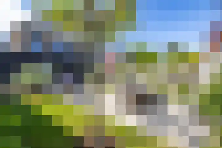 Elfenbank 7 Assen thumbnail 55