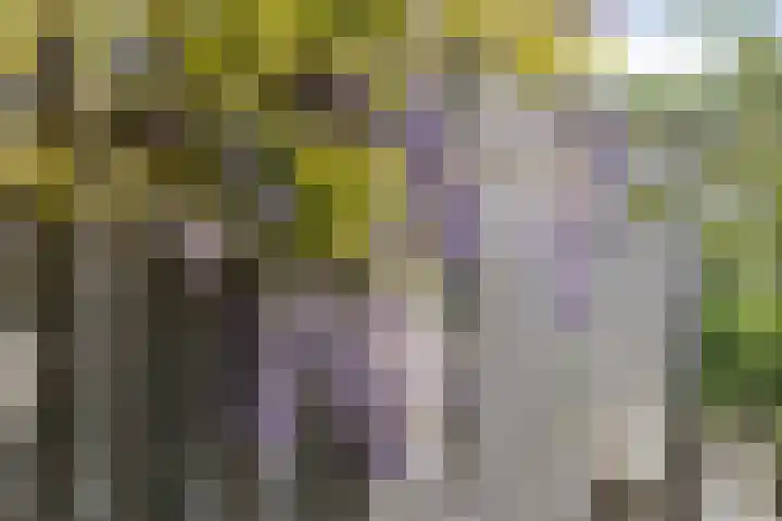 Elfenbank 7 Assen thumbnail 57