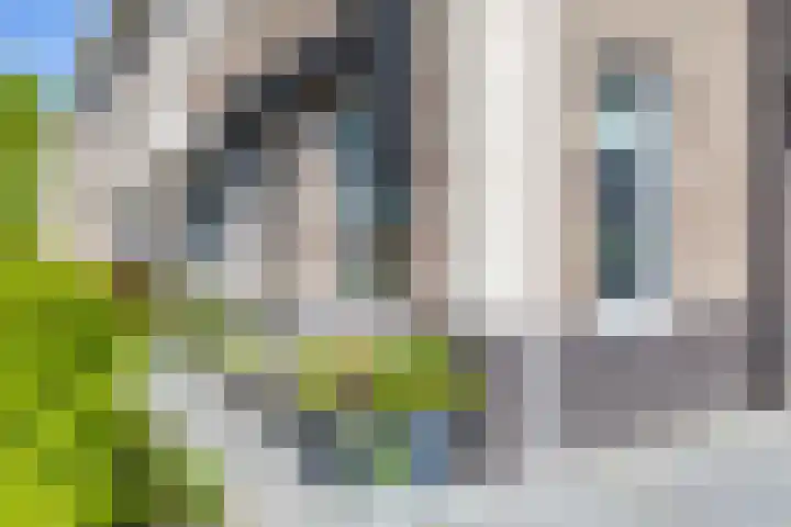 Elfenbank 7 Assen thumbnail 9