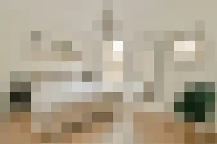 Elfendansstraat 24 Amsterdam thumbnail 14