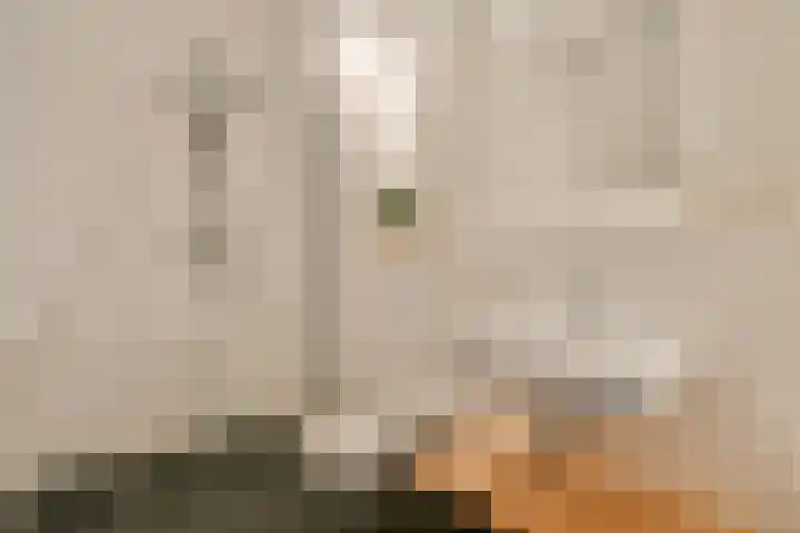 Elfendansstraat 24 Amsterdam thumbnail 16