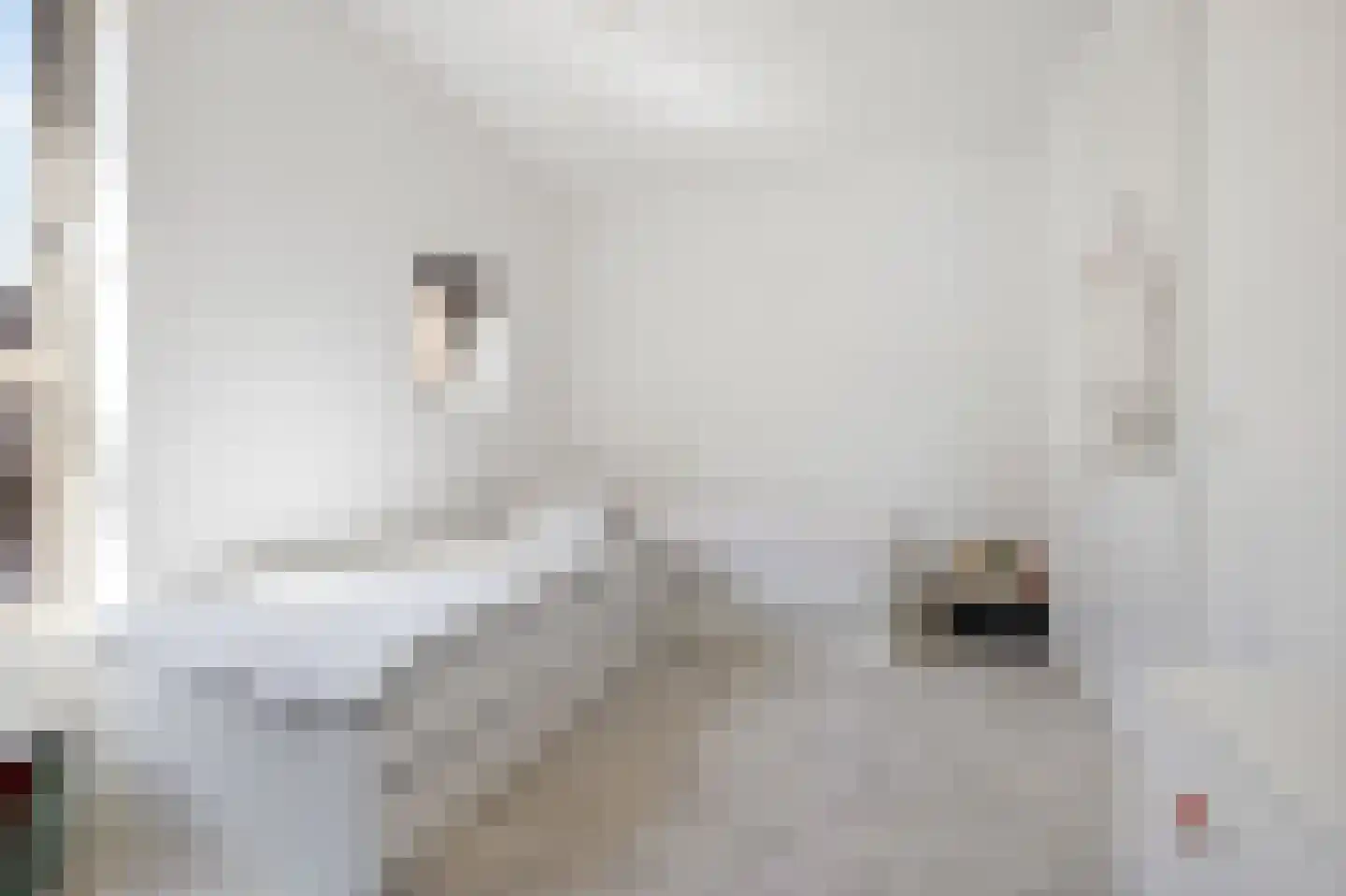 Elfendansstraat 28 Amsterdam thumbnail 40