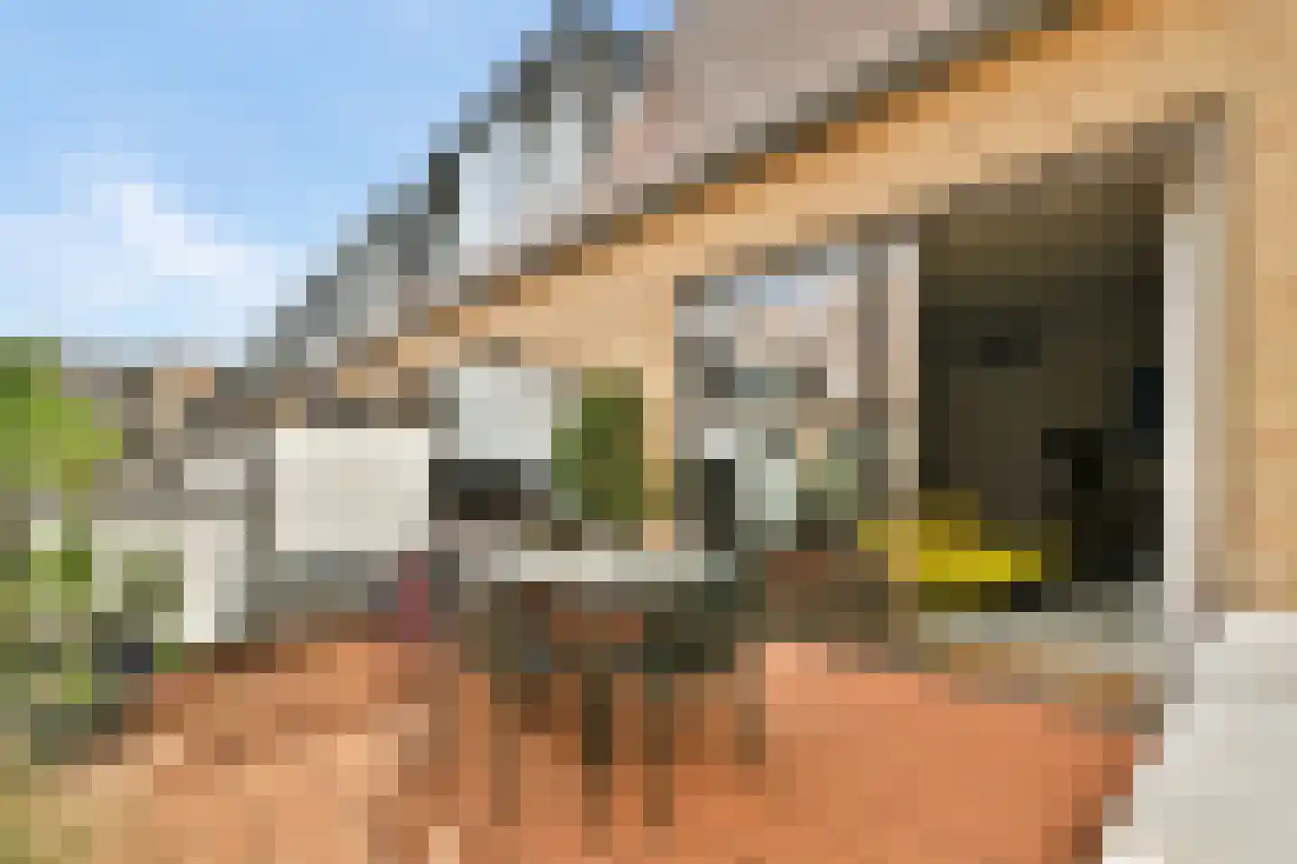Elfendansstraat 30 Amsterdam thumbnail 16