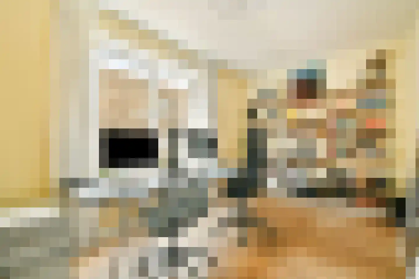 Elfendansstraat 30 Amsterdam thumbnail 17
