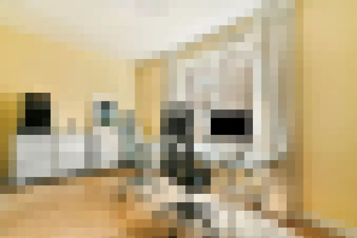 Elfendansstraat 30 Amsterdam thumbnail 18