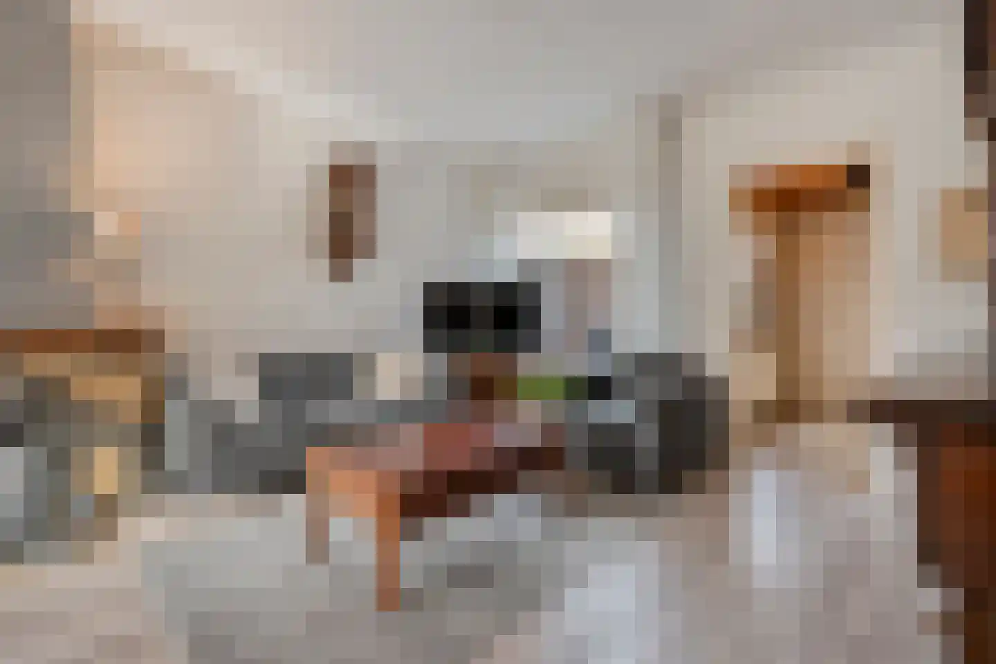 Elferinksweg 14 Enschede thumbnail 10