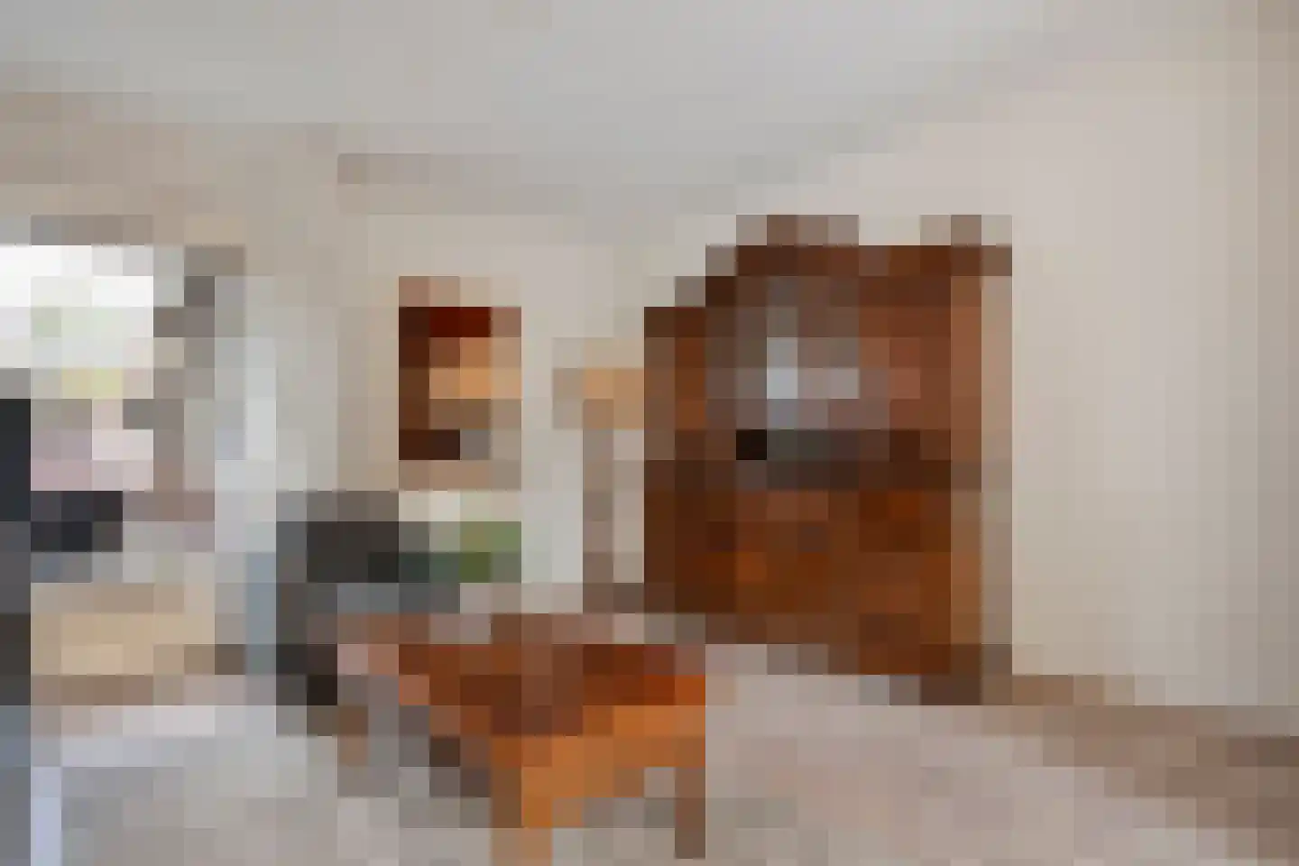 Elferinksweg 14 Enschede thumbnail 11