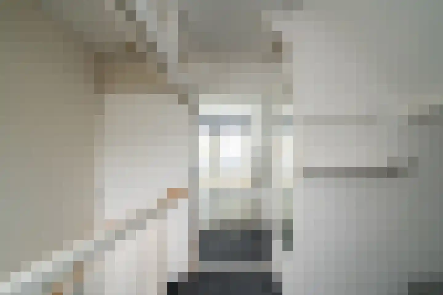 Elferinksweg 47 Enschede thumbnail 20