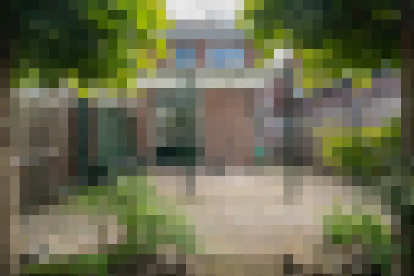 Elferinksweg 50 Enschede thumbnail 25