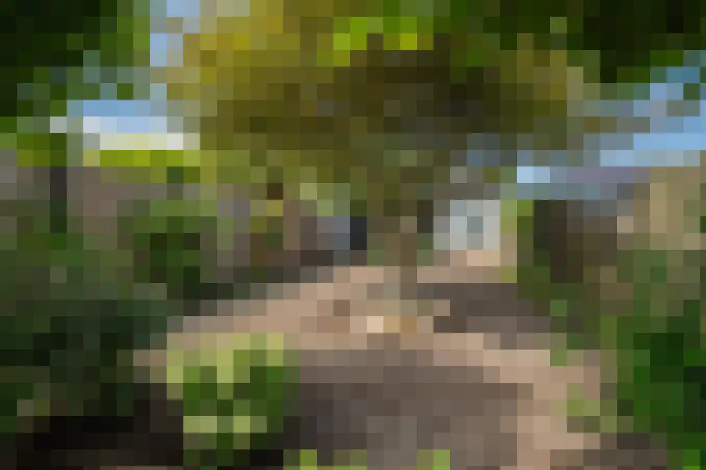 Elferinksweg 50 Enschede thumbnail 26