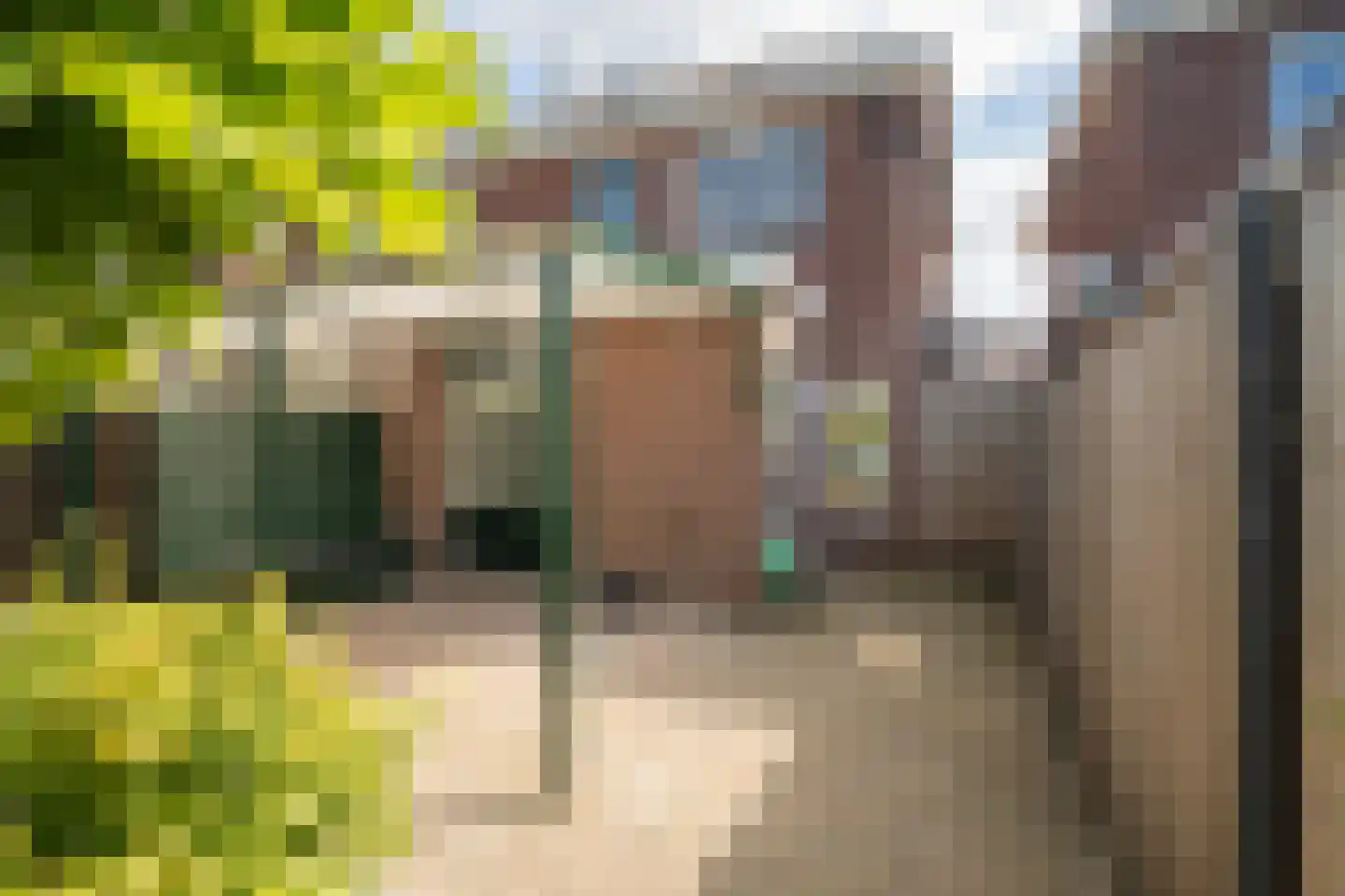 Elferinksweg 50 Enschede thumbnail 28
