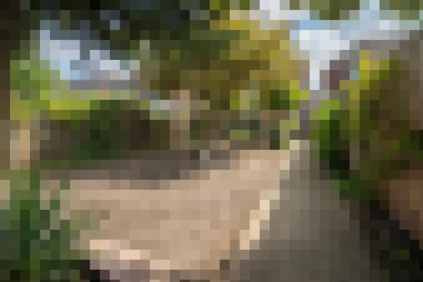 Elferinksweg 50 Enschede thumbnail 30